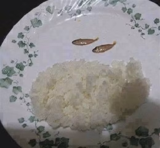 Bổ sung đạm cho cả gia đình.