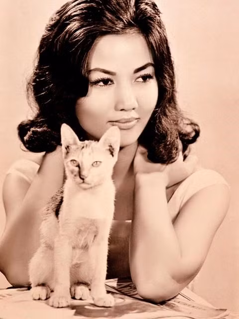 Là nữ diễn viên chính trong "Hồi chuông Thiên Mụ" (1957), Kiều Chinh mau chóng trở thành một trong những người nổi tiếng ở Việt Nam.