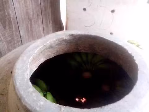 Ăn chuối dấm bằng hương có độc không? An chuoi dam bang huong co doc khong?