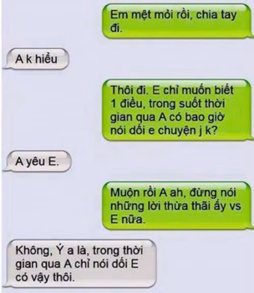 Anh chẳng nói dối em điều gì ngoại trừ câu: Anh yêu em!.