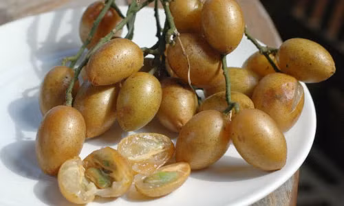 Vì sao gia đình bạn nên ăn quất hồng bì đều đặn? Vi sao gia dinh ban nen an quat hong bi deu dan?