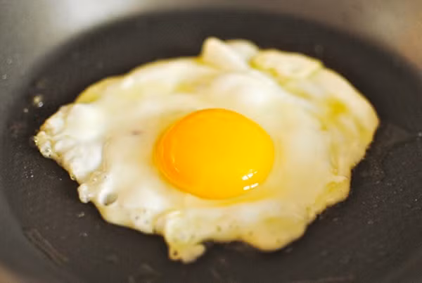 Trứng: Mặc dù việc sử dụng trứng chưa chín (trứng sống, trứng chần sơ, trứng lòng đào) là vô cùng phổ biến trong cuộc sống hàng ngày nhưng các nhà khoa học đã chứng minh đó không phải là việc làm thông minh. Trong quá trình tạo ra protein, trứng sống cũng có khả năng bị nhiễm salmonella. Mặc dù tỉ lệ trứng nhiễm salmonella khá ít (tỉ lệ 1/20.000) và khả năng gây ngộ độc của salmonella yếu nhưng cũng có thể gây các biểu hiện nhiễm độc, chủ yếu là rối loạn tiêu hóa.