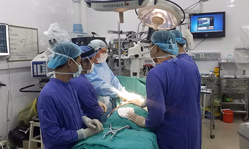 Hết đau lưng mạn tính nhờ đốt nhiệt nội đĩa Het dau lung man tinh nho dot nhiet noi dia