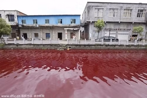 Cảnh sát đã được huy động để điều tra vụ việc và nguyên nhân được xác định là do hệ thống lọc của một lò mổ nằm phía thượng nguồn bị hỏng.