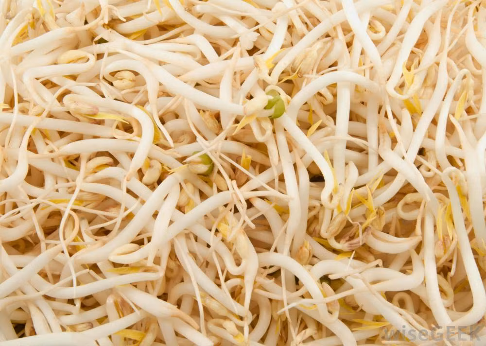 Khi người tiêu dùng ăn phải các loại rau có chứa các hoá chất độc hại này thì cơ thể không có khả năng đào thải ra ngoài qua đường tiêu hoá mà các hoá chất này sẽ được tích luỹ dần trong các mô mỡ, gan và tuỷ sống… gây nên nhiều bệnh tật nguy hiểm trên con người như đãng trí, giảm thị lực và sức đề kháng...