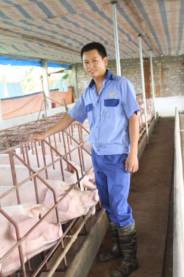 Khu chăn nuôi lợn nái sinh sản của anh Nguyễn Văn Hịu. (Ảnh: Tiền Phong).