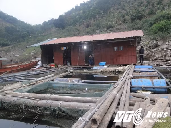 Canh kho tan cung cua “chi Dau” o ho Thuy dien Hoa Binh