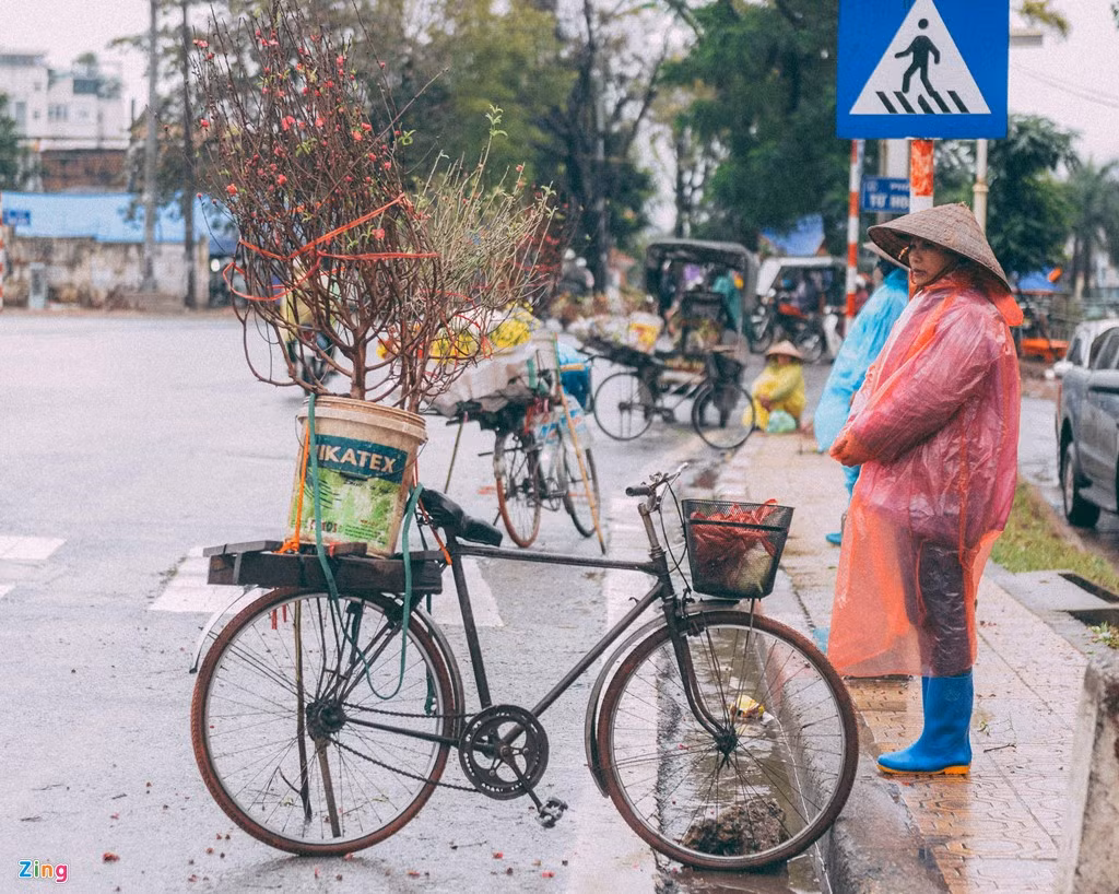 Những cành đào đã xuống phố chuẩn bị đón xuân.