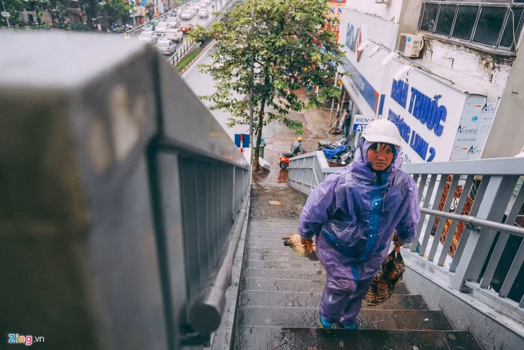 Không cố mà bán thì gà chết rét, lại lỗ vốn thôi - một người buôn gia cầm nói.