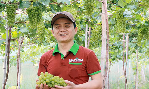 Thạc sĩ Trần Mạnh Chiến – Chủ chuỗi cửa hàng rau, thực phẩm sạch Bác Tôm.