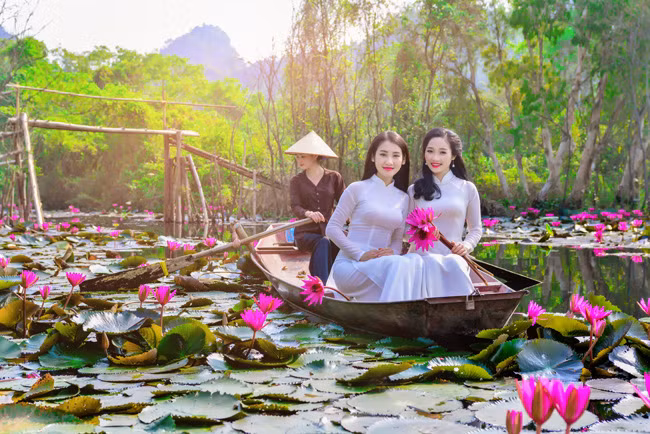 Thiếu nữ khoe sắc mơn mởn bên màu hoa súng rực rỡ.