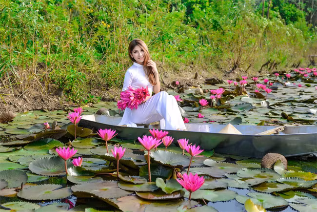 Và người trồng hoa súng sẽ thu 50.000 đồng/chuyến khi khách có nhu cầu đến tham quan, chụp ảnh.