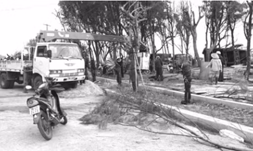 Tinh ngheo cai tao 1,1km duong di bo “ngon”… hon 68 ty