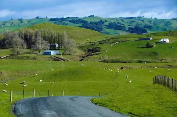 Ngôi làng Hobbit ở Matamata, Waikato (phía bắc New Zealand) có những ngôi nhà xây nửa nổi, nửa chìm trong lòng đất. Con đường vào xứ sở thần tiên đẹp như tranh, với những đồi cỏ mênh mông xanh mướt, cùng những chú cừu thẩn thơ gặm cỏ.
