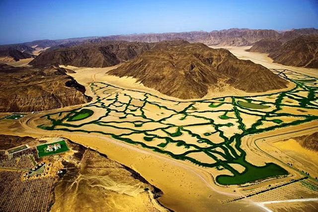 Nông trang hữu cơ Wadi Rum nằm gần biên giới Ả rập Saudi, nơi có một tầng nước ngầm lớn – nguồn nước cung cấp của nhiều quốc gia sa mạc trong vùng. Nước ngầm được lấy vào hệ thống tưới tiêu và phân phối tới gần 100 hecta đất gieo trồng của nông trại bằng vòi nước xoay.