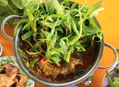Du khách có thể gọi lươn nấu rau ngổ hoặc um lá nhàu tại canteen rừng U Minh Hạ với giá 160.000 một nồi.