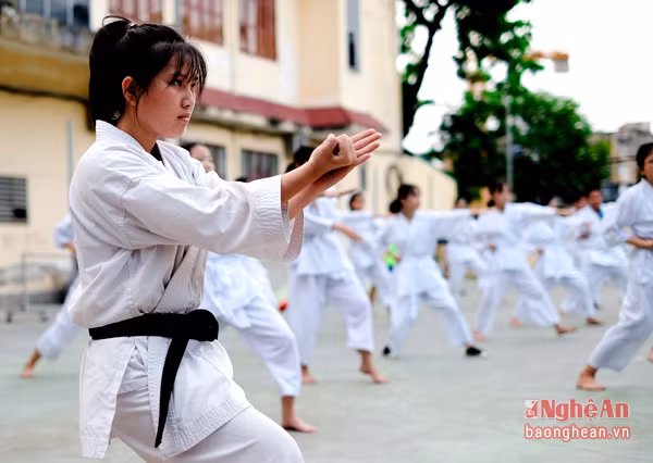Qua những thành tích đầu tiên, cùng sự động viên, cổ vũ từ gia đình, cô gái nhỏ nhắn biết rằng mình đã không chọn sai đường. Khánh Linh được tham gia lớp tập huấn Hayashi – Ha Shitory với hai vị huấn luyện viên người Nhật Bản. Liên tiếp sau đó là hàng loạt những giải thưởng đáng nể khác: HCV tại Đại hội TDTT tỉnh, 3 HCV, 3 HCBgiải vô địch các câu lạc bộ mạnh Karate tỉnh Nghệ An… và mới đây nhất (tháng 1/2016) Khánh Linh được phong đệ “Nhất đẳng huyền đai” (đạt chuẩn đai đen quốc gia) của Bộ VH, TT&amp;DL chứng nhận.