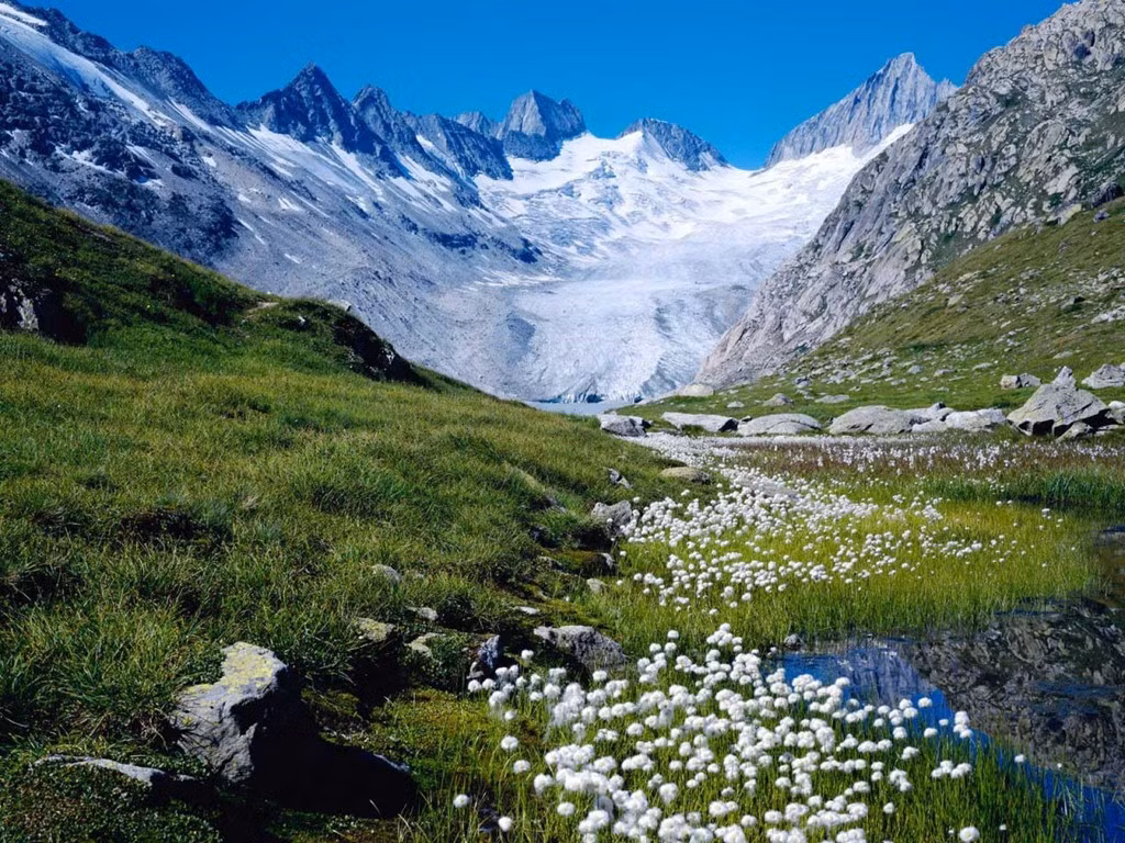 “Heidiland”, Thụy Sĩ ”Nếu bạn tìm kiếm những cánh đồng ngập hoa, những đỉnh núi phủ đầy tuyết trắng, hãy đến Heidiland”, Sally Peck nói. “Và khi bạn cảm thấy mệt mỏi vì đi bộ đường dài, những vùng biển nóng tại thị trấn gần đó của Bad Ragaz sẽ luôn chào đón bạn tới thưởng thức”. Ảnh: Jayaramanpillai.