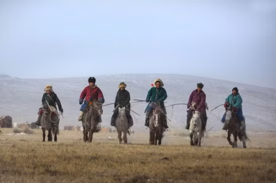 Trong Lễ hội Ngựa Mùa đông (Winter Horse Festival) vừa qua diễn ra ở tỉnh Khentii, phía đông Mông Cổ, những kỵ sĩ ở quốc gia Đông Á này đã mang đến những chú ngựa mạnh khỏe nhất cùng những màn trình diễn tuyệt vời. Quả không ngoa khi gọi họ là những "cao bồi trên lưng ngựa".