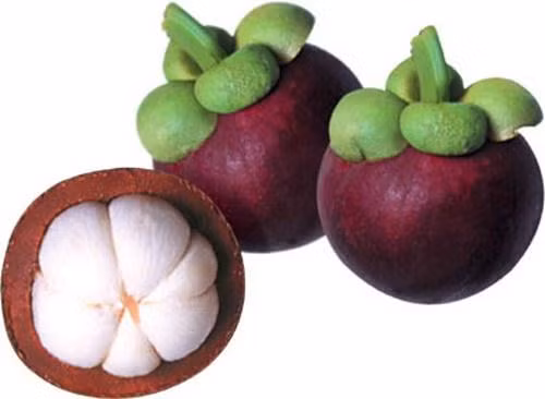Để tận dụng tối đa những giá trị dinh dưỡng cũng như trung hòa “tính nóng” của trái sầu riêng, bạn cần ăn sầu riêng đúng cách, khi ăn nên kết hợp cùng các loại quả mang tính hàn như măng cụt, dứa, thanh long...