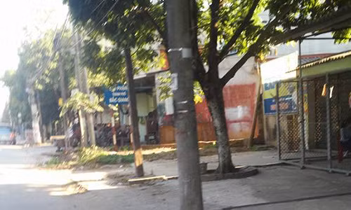 Dam chet nguoi goi cua vi dang ngu voi chan dai