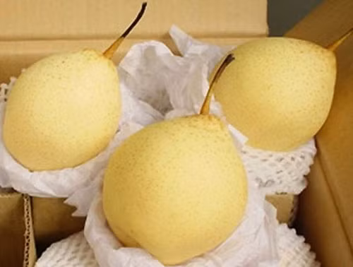 Lê Trung Quốc là mặt hàng được nhập về quanh năm.