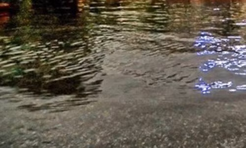 Vo U60 cay khoe de chong ngat nuoc den chet