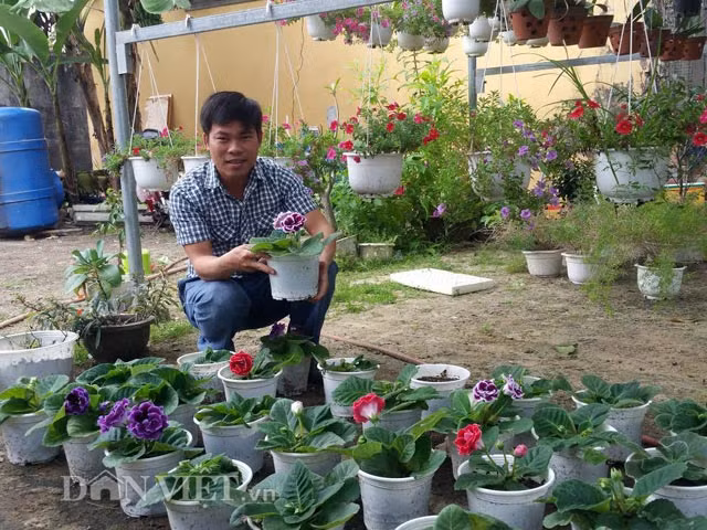 Thue dat trong hoa “mini”, kiem 10 trieu dong/thang