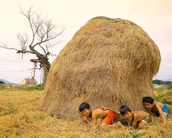 Để chơi được trò chơi dân gian này, một người sẽ phải úp mặt vào tường đếm “Năm, mười,...” cho tới 100. Trong khoảng thời gian này, những người còn lại sẽ đi trốn. Sau đó, người “bị” sẽ phải đi tìm những người còn lại. Nếu ai bị phát hiện sẽ trở thành người “bị” tiếp theo. Tuy nhiên, những người còn lại có thể tự chạy về đích trước người “bị” thì sẽ thoát.