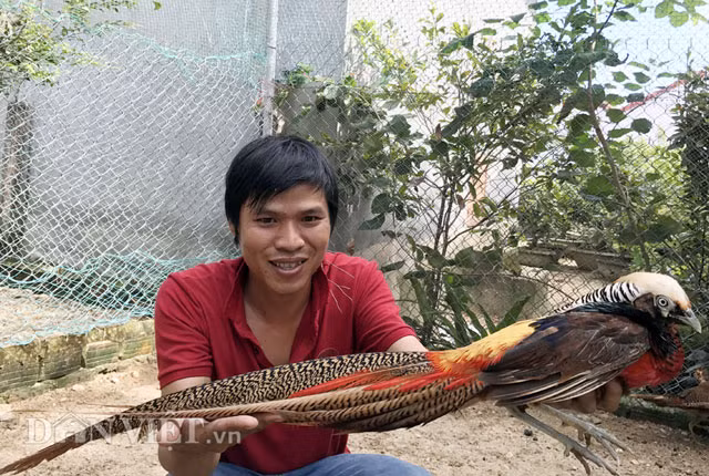 Theo chủ trại Nguyễn Văn Anh, tuy có giá đắt đỏ và không mấy lạ đối với người dân ở các thành phố lớn như TP.HCM, Hà Nội... thế nhưng với Quảng Ngãi đây là vật nuôi mới cho nên thu hút khá nhiều người dân trong tỉnh đến mua và đặt mua. "Trong thời gian tới, tôi sẽ tiếp tục đưa một số loại vật nuôi cảnh "độc", mới để về bán trong dịp Tết cổ truyền sắp đến", anh Anh tiết lộ.