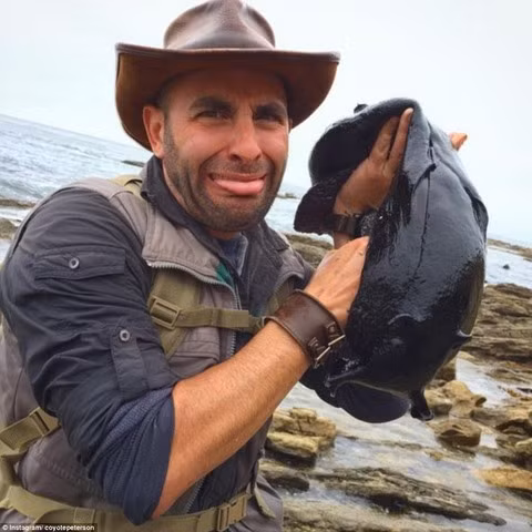 Coyote Peterson, người dẫn chương trình Brave Wilderness (Thiên nhiên dũng cảm) của kênh Discovery mới đây đã khiến đông đảo khán giả choáng váng vì phát hiện mới của mình về một sinh vật kỳ dị.