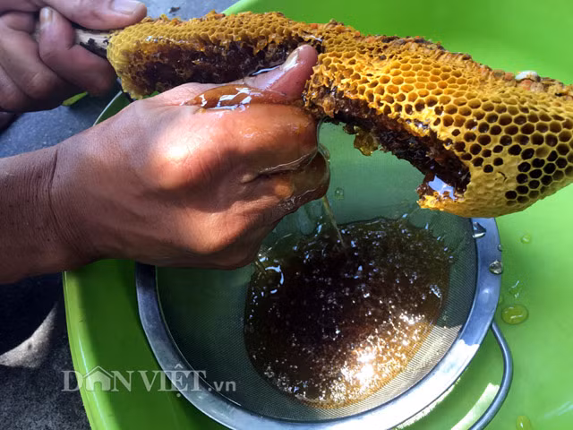 Cùng với nhiều tác dụng trong y học và sử dụng chế biến để làm đẹp, số lượng mật lại rất ít, chỉ từ 0,3-0,7 lít/tổ, bằng 1/4-1/3 so với ong mật... cho nên mật ong rú rất được nhiều người lùng tìm, với giá lên gần 2 triệu đồng/lít, gấp 4-6 lần so với mật ong ruồi, ong mật nhưng không có để mua.Vì vậy theo nhiều người chuyên đi tìm và thu ong rừng lấy mật về bán thì việc tìm thấy được tổ của ong rú là sự một sự may mắn.