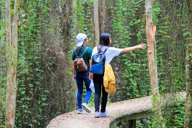 Trải nghiệm trekking con đường bê tông xuyên rừng tràm dài nhất Việt Nam ở Tân Lập quả là một điều thú vị. Bạn vừa có thể tạo dáng, chụp ảnh check-in, vừa ngao du thưởng ngoạn cảnh vật thân thương, bình dị ở đây.