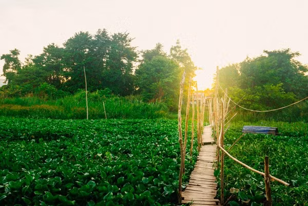 Rời làng nổi, chúng tôi qua phà Châu Giang để tới làng Chăm, với những thánh đường Hồi giáo nổi tiếng. Nhà sàn nhỏ với phần cửa ra vào thấp hơn đầu người, hàm ý khách đến chơi nhà phải cúi đầu chào chủ nhà. Du khách còn có thể tận mắt theo dõi cách những người phụ nữ Chăm làm ra một sản phẩm dệt thổ cẩm Phum Xoài.