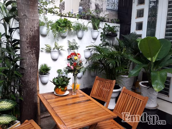 Chị Bùi Thị Thương (sinh năm 1987, mở lớp anh văn tại nhà, hiện đang sống và làm việc tại quận Bình Tân, TP HCM) đã khiến không ít người ghen tỵ với khu sân vườn đẹp như mơ và vườn rau đẹp mắt, tươi ngon của mình.