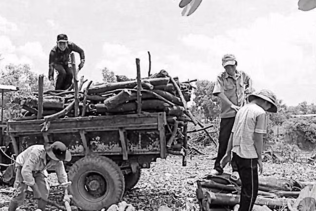 Dù cố gắng hết sức, nhưng ở đây, một người lao động khỏe nhất cũng chỉ kiếm được tối đa một vài mét củi cho một ngày lao động cực lực. Theo những “tiều phu” này, thì hiện tại, thu nhập từ nghề mót củi này khá bấp bênh, thỉnh thoảng làm từ 1 tuần trở lên mới được 1 xe ba gác bán được 250 nghìn đồng. Còn củi lớn khoảng 2-3 tháng tích góp mới được 1 xe máy cày (công nông) bán được với giá 700 nghìn.