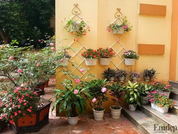 Khoảng tường nhỏ trước thêm luôn rực rỡ, cuốn hút bởi hoa lá tự nhiên.