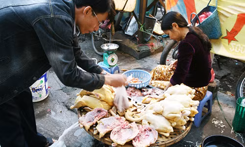 Ăn thịt gà, vịt như thế nào để tránh lây nhiễm cúm A/H7N9? An thit ga, vit nhu the nao de tranh lay nhiem cum A/H7N9?