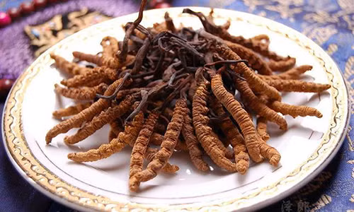 Dong trung ha thao 1,6 ty/kg van dat nhu tom tuoi