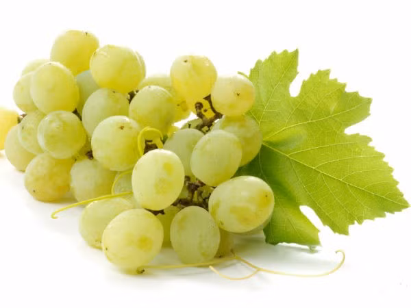Nho giàu chất flavonoid, chất chống oxy hóa duy trì sức khỏe tốt cho phổi. Chúng rất giàu khoáng chất, vitamin ngăn ngừa nhiều bệnh liên quan tới phổi. Ăn nho thường xuyên sẽ giúp phổi được làm sạch và giải độc tố.