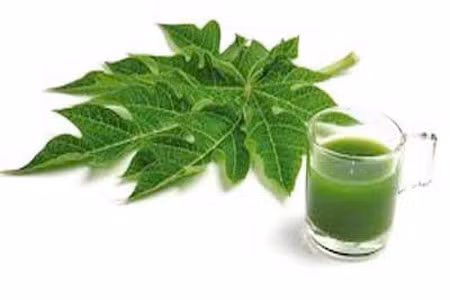 Đề cao năng lượng cơ thể. Uống nước ép lá đu đủ mỗi ngày sẽ làm tăng năng lượng cho cơ thể, đặc biệt rất tốt đối với người luôn cảm thấy mệt mỏi (mệt mỏi mãn tính). 