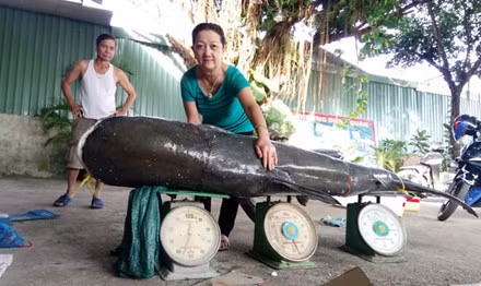 Cau duoc ca tra dau nang 130 kg tren song Serepok