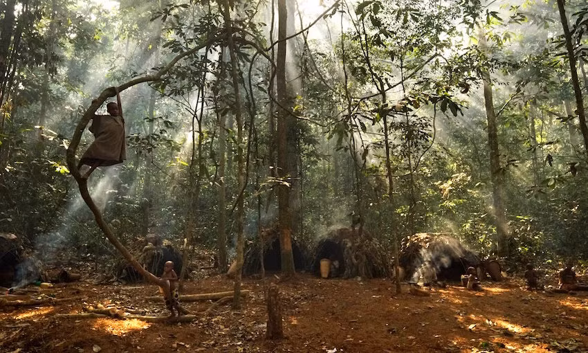 Bo toc nguoi lun ky bi song trong rung ram chau Phi