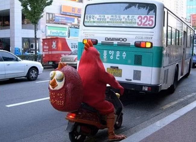 Angry birds đi dạo phố.