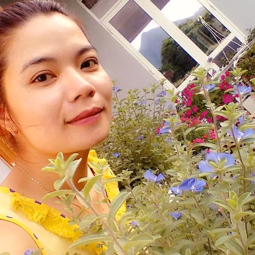Ngoi nha pho nui ruc sac hoa dep me ly
