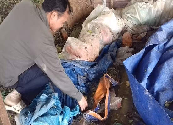 Tran lan thit trau ban, thit thoi... phuc vu Tet