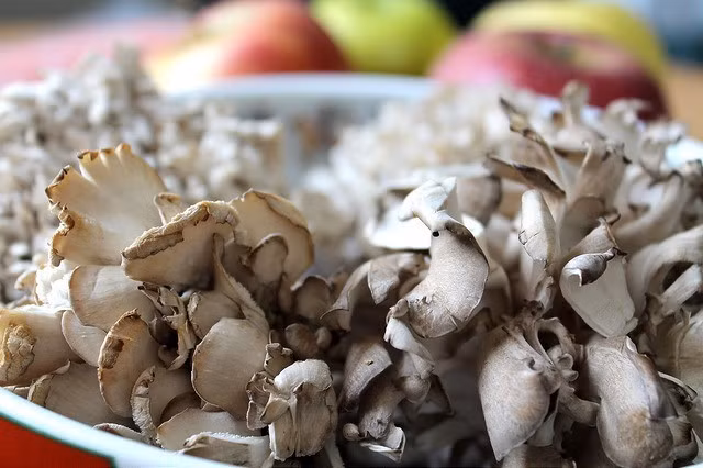 Nấm (Maitake): Chứa protein, chất xơ, can xi, vitamin B và C. Loại nấm này tốt cho tim, giảm nguy cơ ung thư, tăng cường hệ miễn dịch và giảm viêm.