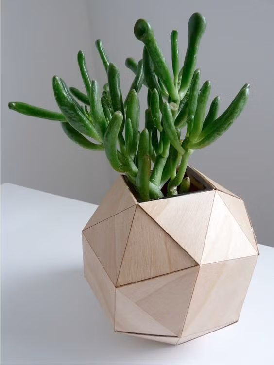 Một chậu cây với hình kim cương cũng là ý tưởng vô cùng thú vị, tạo vẻ đẹp duyên dáng đầy tinh tế cho bất kỳ góc nhỏ nào mà chúng xuất hiện.