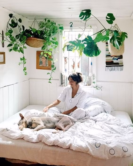 Treo cây lên phía trên giường ngủ cũng là ý tưởng độc đáo mang đến cho mọi người không khí vui vẻ, thân thiện khi nghỉ ngơi.