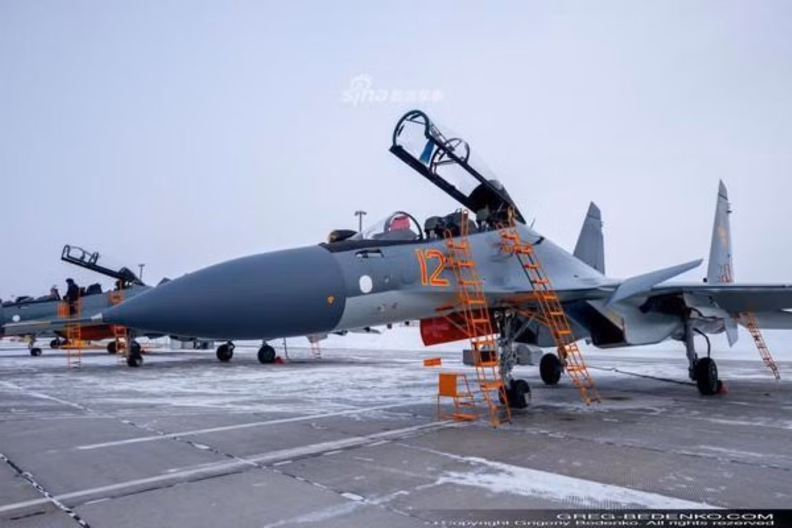 Sau vài ngày tìm hiểu chi tiết về sự cố với tiêm kích Su-30SM, các nhà điều tra đưa ra nhận định rằng nguyên nhân khiến máy bay chiến đấu đa năng đắt tiền bị rơi nhiều khả năng là do va chạm với một con chim.